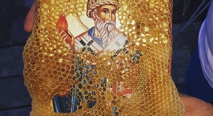 A méhek, akik felismerik a szenteket  Videó!