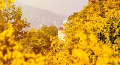 Hétvégi programajánló: Kortárs Ékszerhét, Garden of Lights, Budapest Showcase Hub