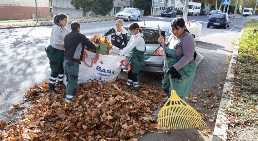Őszi kihívás: a zalai városban 400 big-bag zsákot és minden eszközt bevetnek - csatlakozz te is! (galéria, videó)