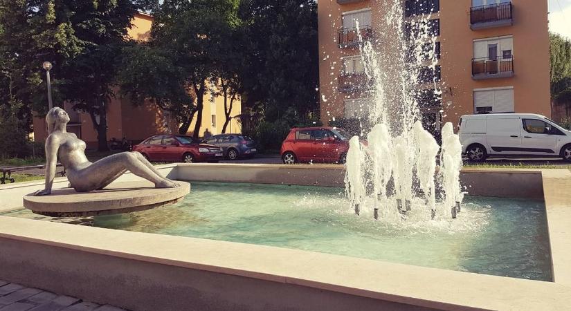 Vadállatot láttak Eger utcáin, a sötétben mászkált a házak mellett