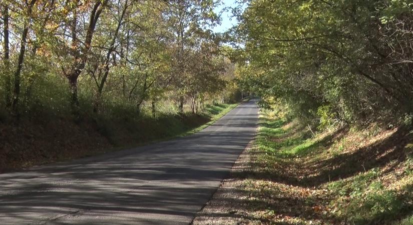 Több oka is van a közúti vadészleléseknek