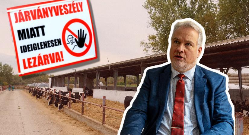 A kisbajcsi marhatelepen jelent meg a betegség, jó lenne feltárni, hogy került oda