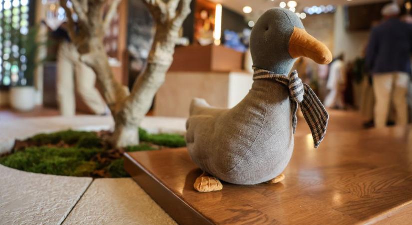 Fényesen csillog a tatai gasztronómia gyöngyszeme – újabb díjat kapott a Malom és Kacsa