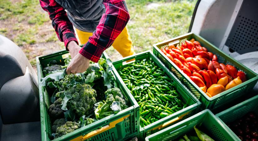 Ebbe a 2 országba viszi ki sok termelő az árut: tudhatnak valamit?