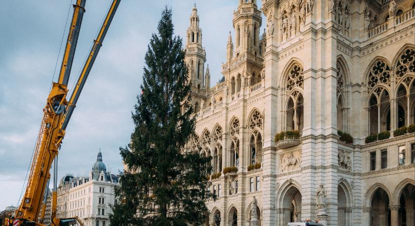 Nagy meglepetés Bécsben - videó