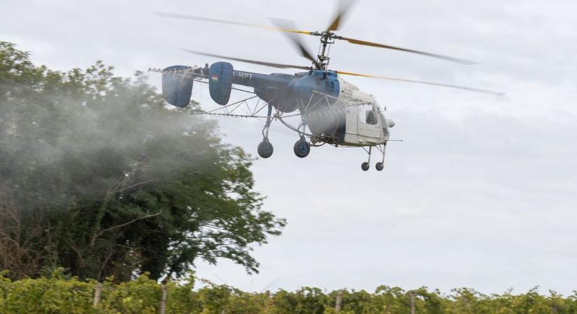 A szomszédban befejezték a szőlőkabóca elleni légi permetezést - de Zalában el se kezdték a Nébih híre szerint