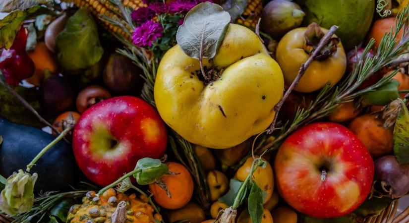 Feldebrő neve az országos hírbe került – különleges díjjal ismerték el a helyi férfit