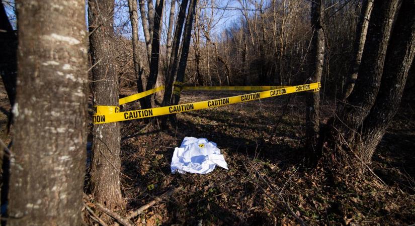 Megkéselte, seprűnyéllel verte ivócimboráját egy nő Veszprémben