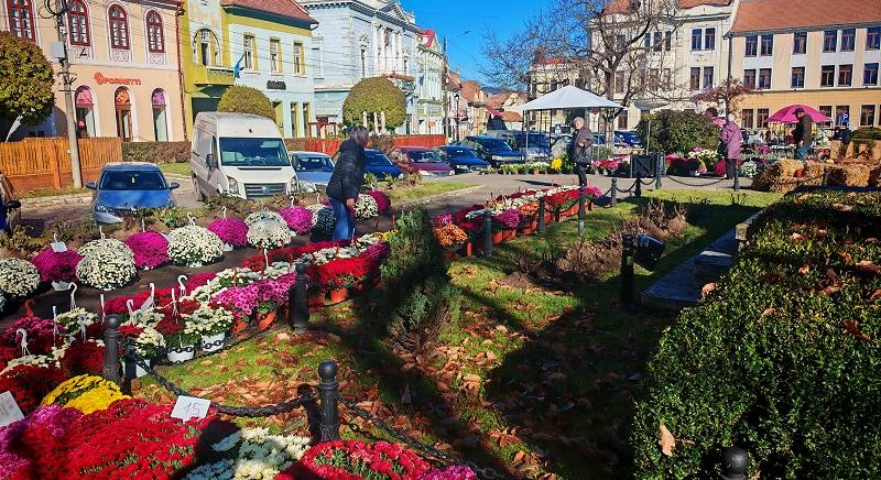 Színek kavalkádja – Megnyílt az őszi virágvásár Kézdivásárhelyen (VIDEÓ)