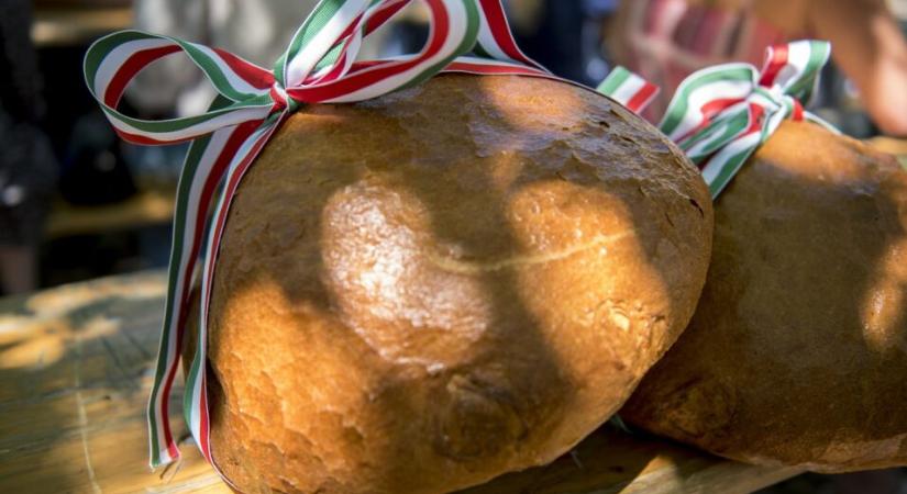 A Magyarok Kenyere programban 37 fiatal agrárszakembert díjaztak