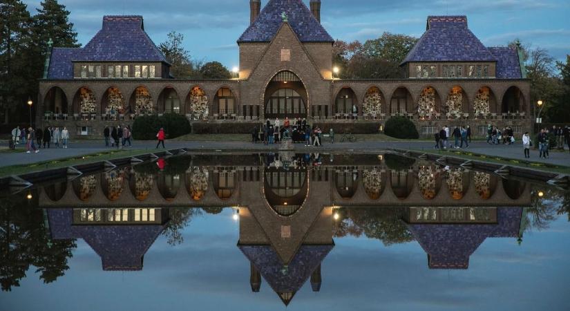 A temetőben kapott defektet egy debreceni nő, ami utána történt, soha nem felejti el!