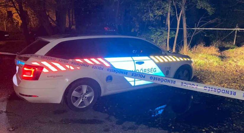 Leszúrta egy tőrrel a dunakeszi buszmegállóban élettársa fiát, majd bement a trafikba vásárolni