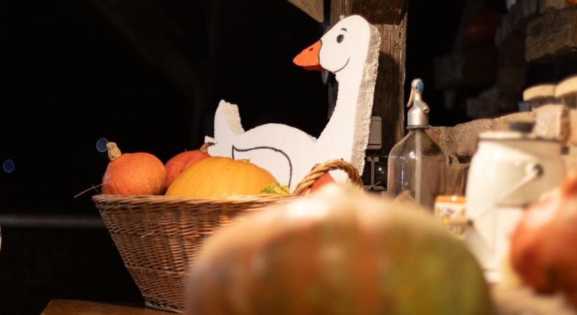 Márton-napi rendezvények Komárom-Esztergom vármegyében