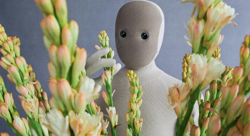 Megérkezett a robotgép, amire mindenki várt