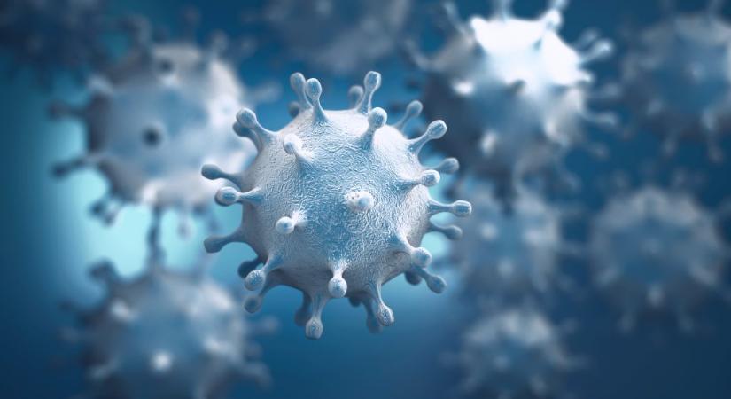 Ez baj! Megjelent a madárinfluenza egy Jász-Nagykun-Szolnok vármegyei pecsenyekacsa-tartó gazdaságban