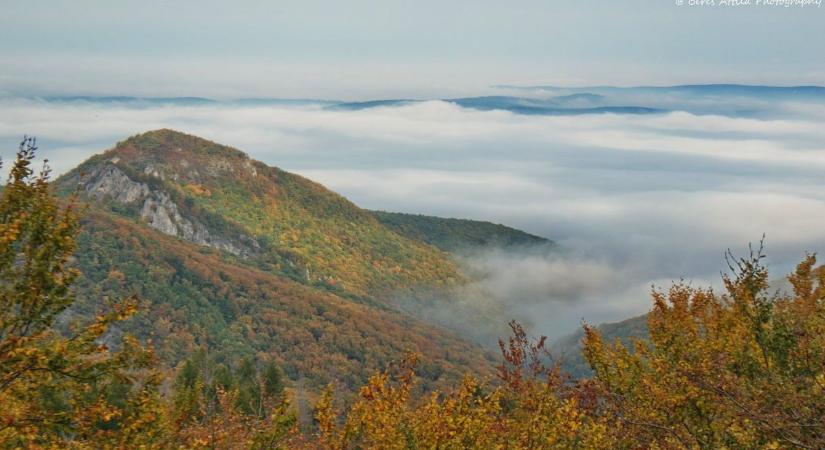 Elszórt záporok és melegedés