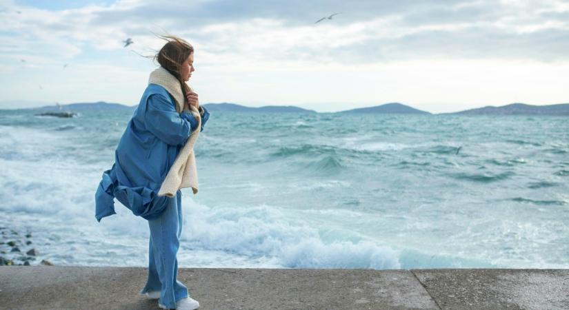 Könyvklub: Áfonyaszedők