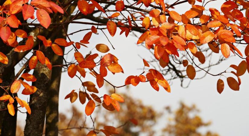 Holnap a nap és a felhők váltogatják a szerepet