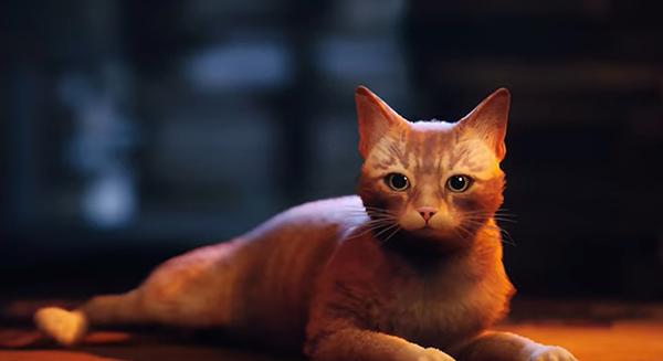 Kóbor cicát és raliautót is irányíthatunk a PS Plus Essential novemberi kínálatában