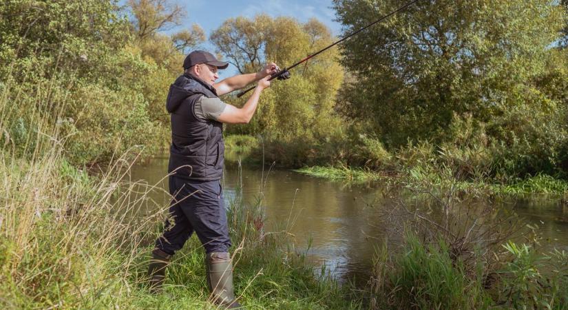 A horgászok ennek nem fognak örülni, a Duna vizében a legidegesítőbb halból találták a legtöbbet