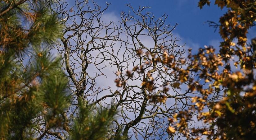 A napsütés mellett szeles reggelre készüljenek Borsod–Abaúj–Zemplénben