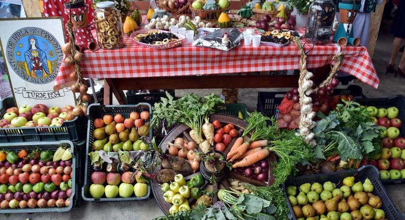 Dolgos kezek Zalában – így formálja a közfoglalkoztatás a zalai települések életét