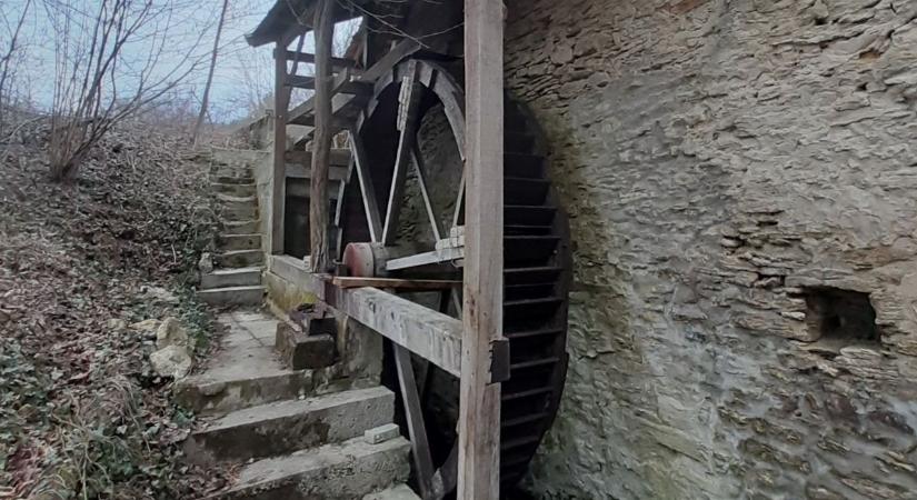 Új fesztiválnak örülhet az ország, a Bakonyban már nekiláttak a szervezésnek