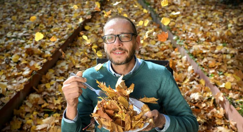 Kőhalmi Zoltán: Sokan teljesen humortalan történeteket küldenek azzal, hogy nyugodtan használjam