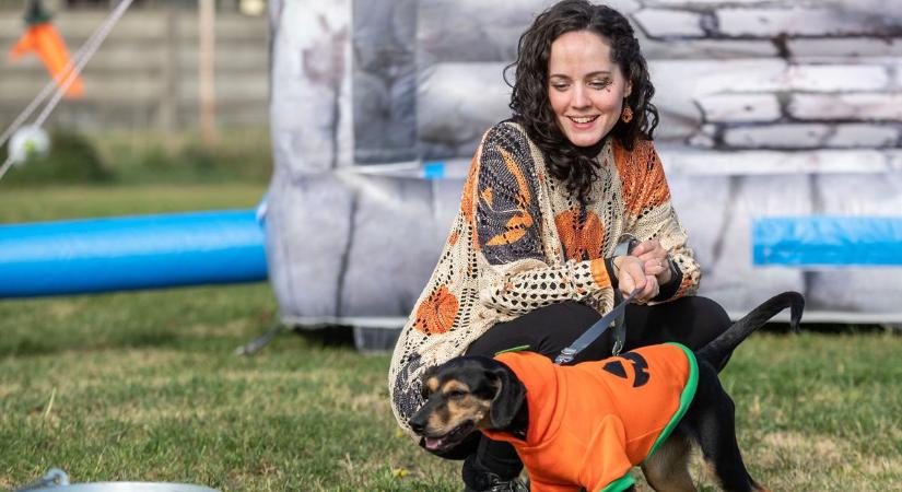 Csokit vagy csalunk – ezúttal kutyás verzióban