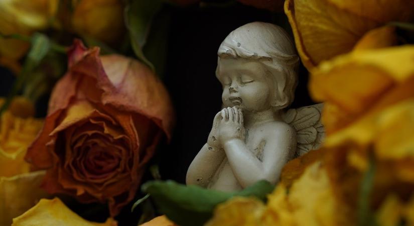 Szörnyű csapás érte Ganxta Zoleet