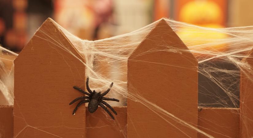Veszélyes lehet ez a népszerű halloweeni dekoráció