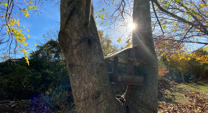 Ezt mi se hisszük el, ilyen idővel még nem fordultunk novemberre, nem semmi!