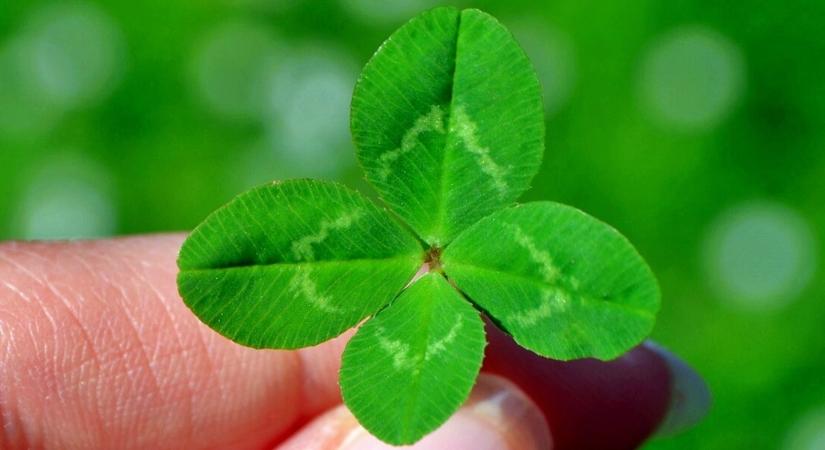 Napi horoszkóp 2025. október 30: elképesztő mit tartogatnak számodra a csillagok