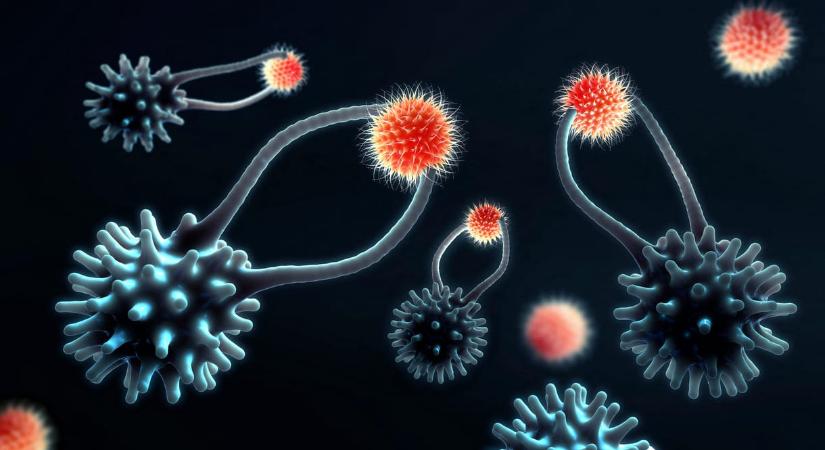 Rákellenes szuperfegyver lehet ez az újfajta terápia