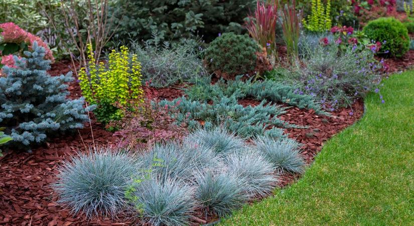 Valld be, néha te is unod a zöldet