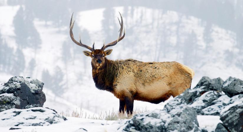 Friss! A Skandináv lottó nyerőszámai a 44. héten