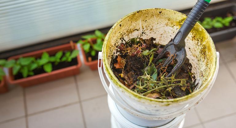 Úgy látszik, jól benne vagyunk a komposztban