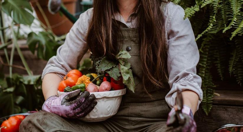 Ollókat elő! Metszésre felkészülni!