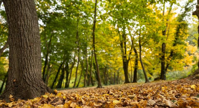 Köd, szél, napsütés? Mutatjuk, mire számíthatunk csütörtökön