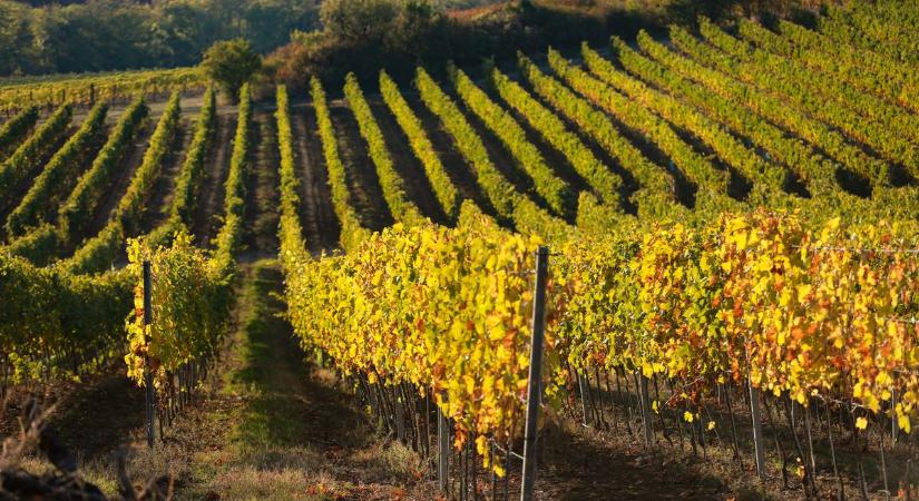 Érkezik a hidegfront, felerősödik a szél