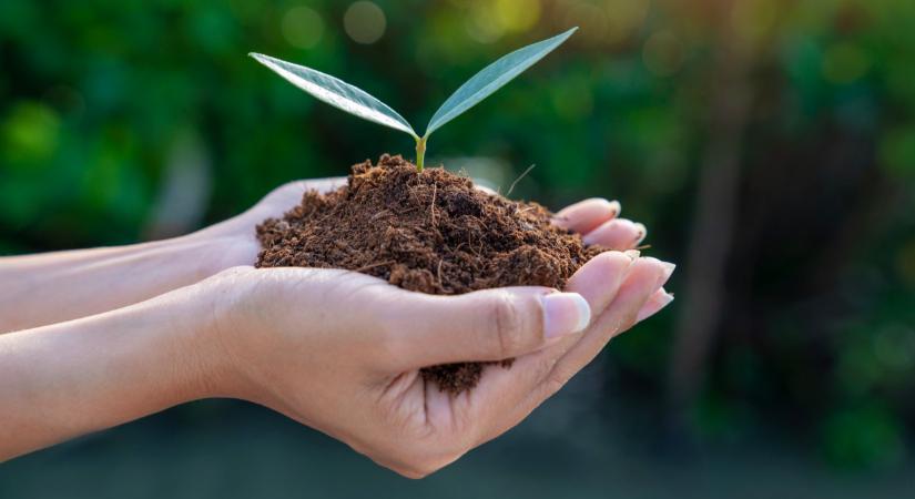 A krízis hatása a földeken is érződik: sokan már a műtrágyát is leváltják