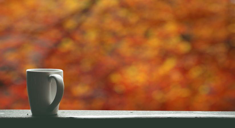 Őszi méregtelenítéssel készítsd fel szervezeted a télre