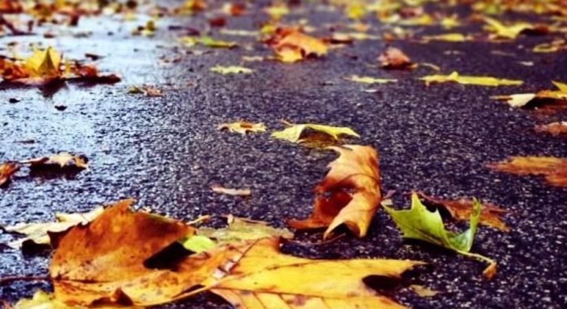 Csúsznak az utak ősszel, ezért több a baleset Győr-Moson-Sopronban is