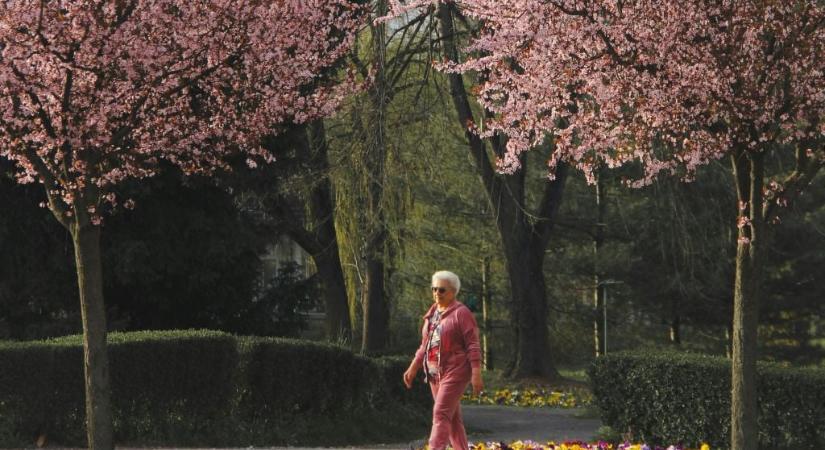 Élelmiszer-utalványok: elárulta a kormány, mennyit költöttek már el a nyugdíjasok