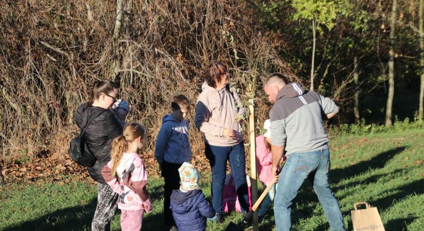 Így vernek gyökeret a városban egyre többen