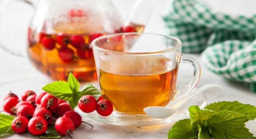 Galagonyatea: így hat napi egy csésze