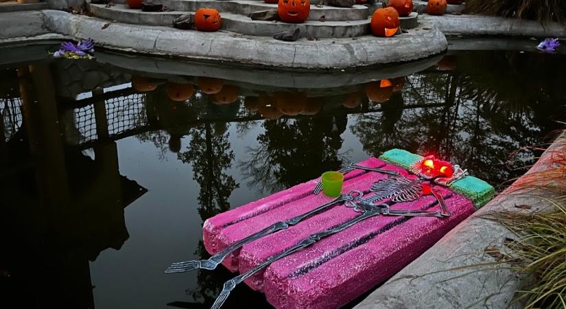 Ijesztő rémségek lepik el a Szegedi Vadasparkot