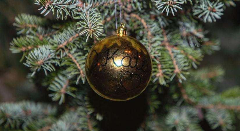 Keresik a járási székhely karácsonyfáját: ekkora fenyő felajánlását várják