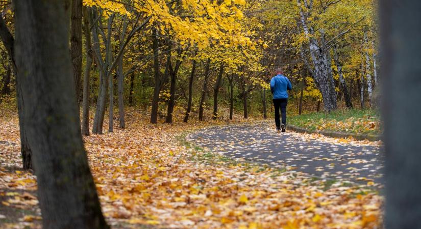Tisztelet a reggeli futóknak