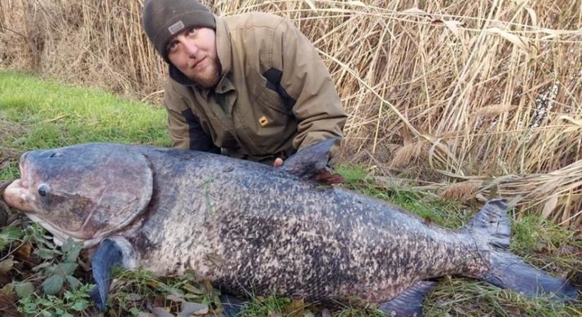 Különleges, ritkaságnak számító halat fogtak ki a Dunából Paksnál